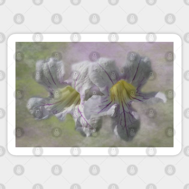 Lavender Trumpet Vine Flower Digital Art Sticker by ButterflyInTheAttic